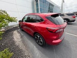 2024 Ford Escape ST-Line Elite