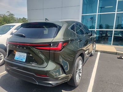 2022 Lexus NX 350h Luxury