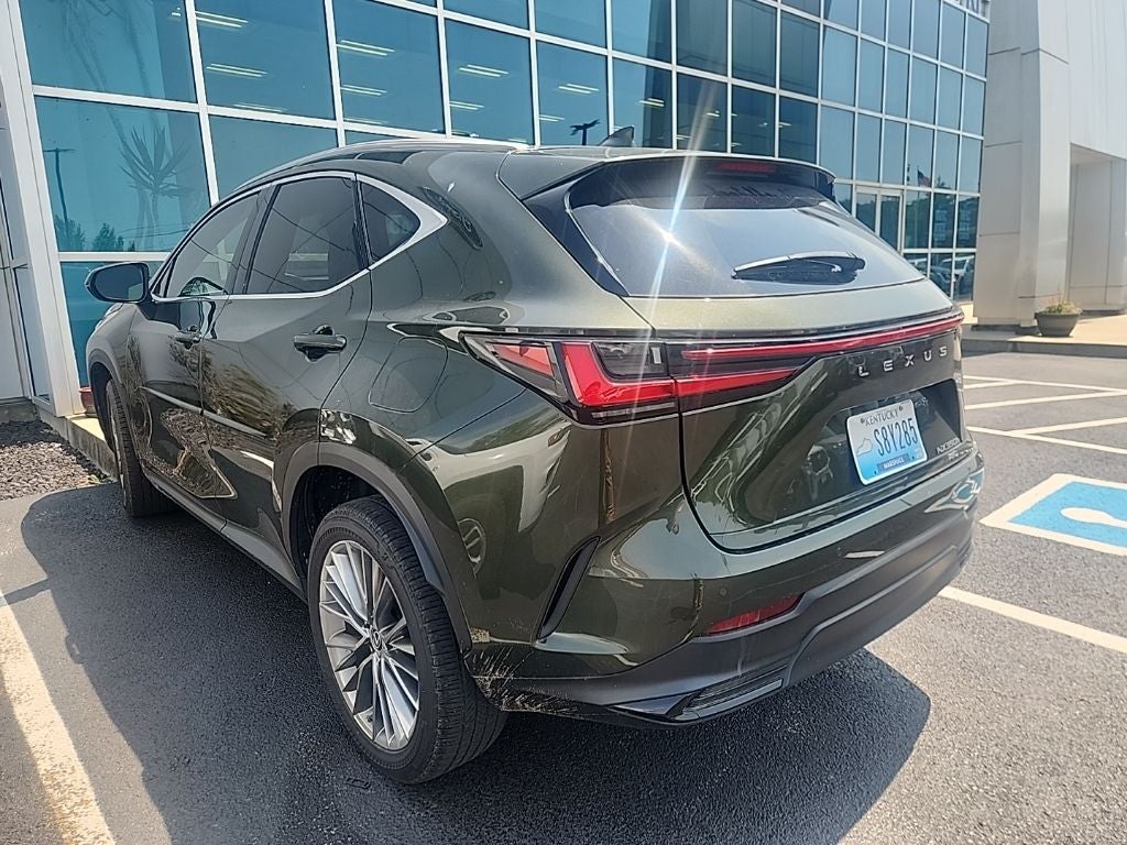 2022 Lexus NX 350h Luxury